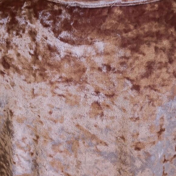 NWT R. Vivimos Velvet Shift Dress - Picture 7 of 12